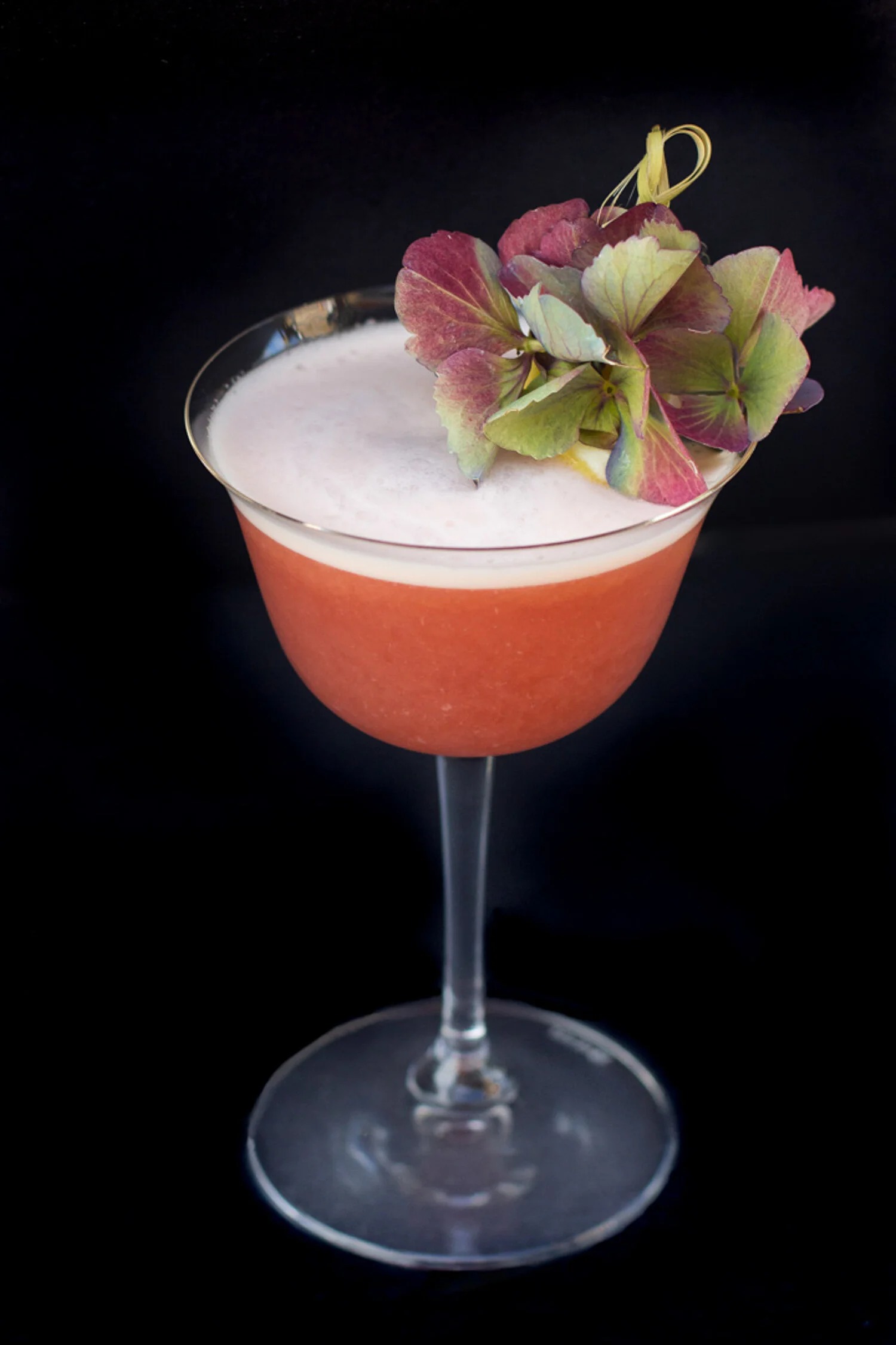 A blush-pink sour in a coupe glass, crowned with foam and an edible flower garnish, against a dark backdrop at the Brix 25° bar